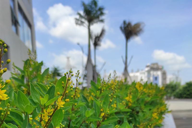 Điện thoại Xiaomi Redmi Note 9 Pro